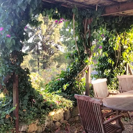 Villa Casa Regina Icod De Los Vinos