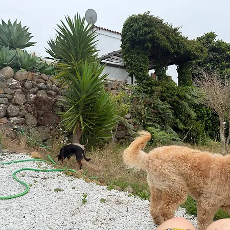 Casa Regina *