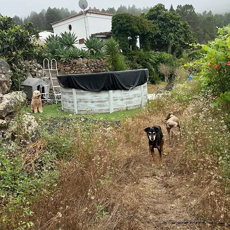 Villa Casa Regina *